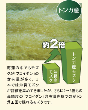 海藻の中でもモズクが「フコイダン」の含有量が多く、日本では沖縄モズクが評価を集めてきましたが、さらに2〜3倍もの高純度の「フコイダン」含有量を持つのがトンガ王国で採れるモズクです。