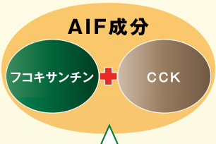 AIF成分（フコイダン成分）