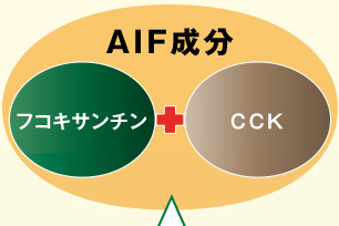 AIF成分(フコイダン成分)
