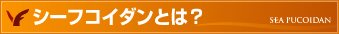 �V�[�t�R�C�_���Ƃ́H