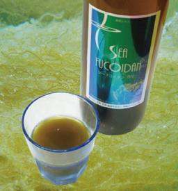 コンブ由来のフコイダンも配合!